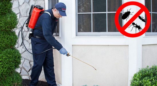Yalıhüyük Dezenfeksiyon böcek ilaçlama ve haşere kontrolü — ilaclama-tr.com